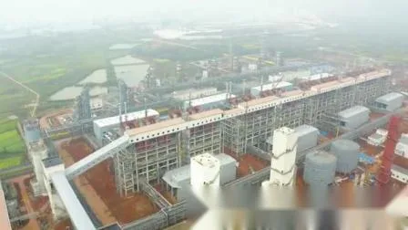 Gasificador de lecho fluidizado circulante 80000nm3/H fabricado en China